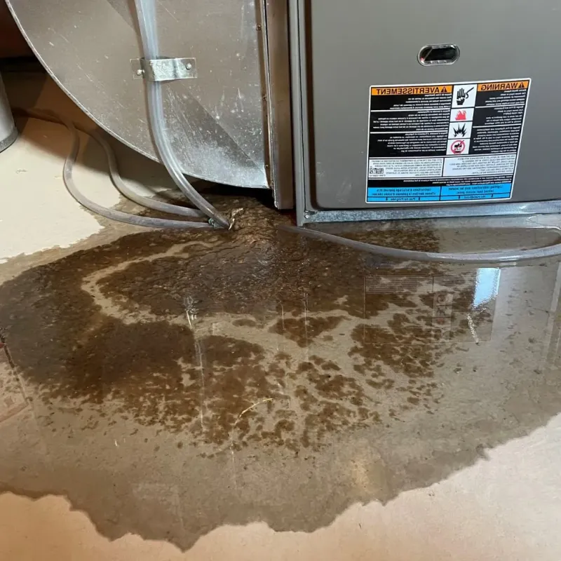 Pipe Burst and Leak Restoration in Andrew County, MO