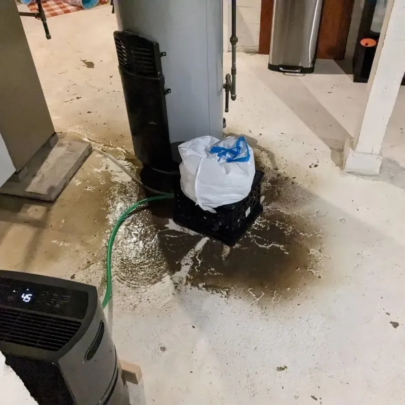 Sewage Backup Cleanup Service in Andrew County, MO